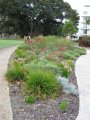 006-IMG_0777.JPG.small.jpeg