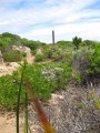 011-IMG_0805.JPG.small.jpeg