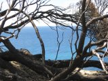 012-IMG_0806.JPG.small.jpeg