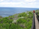 013-IMG_0807.JPG.small.jpeg