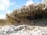 016-IMG_0817.JPG.small.jpeg