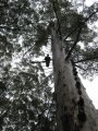 028-IMG_0870.JPG.small.jpeg