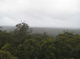032-IMG_0883.JPG.small.jpeg