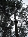 034-IMG_0892.JPG.small.jpeg