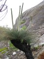 038-IMG_0956.JPG.small.jpeg