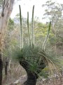 039-IMG_0957.JPG.small.jpeg