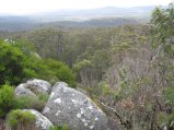 044-IMG_0962.JPG.small.jpeg