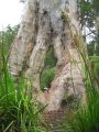 045-IMG_0984.JPG.small.jpeg