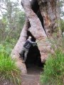 046-IMG_0985.JPG.small.jpeg