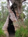 047-IMG_0986.JPG.small.jpeg