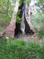 048-IMG_0991.JPG.small.jpeg