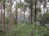 050-IMG_0998.JPG.small.jpeg