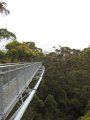 054-IMG_1010.JPG.small.jpeg