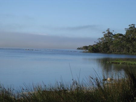 056-IMG_1021.JPG.medium.jpeg