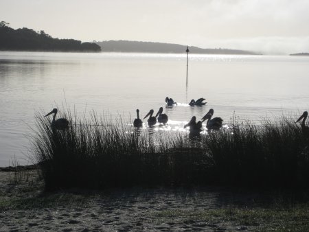 057-IMG_1023.JPG.medium.jpeg