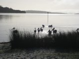 057-IMG_1023.JPG.small.jpeg