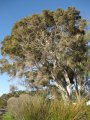 059-IMG_1028.JPG.small.jpeg