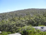 070-IMG_1044.JPG.small.jpeg