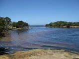 077-IMG_1077.JPG.small.jpeg