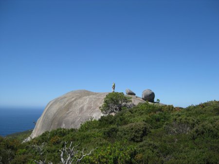 090-IMG_1120.JPG.medium.jpeg