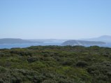 091-IMG_1122.JPG.small.jpeg