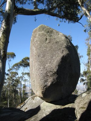 101-IMG_1153.JPG.medium.jpeg