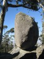 101-IMG_1153.JPG.small.jpeg