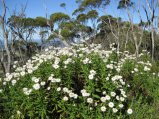 110-IMG_1186.JPG.small.jpeg
