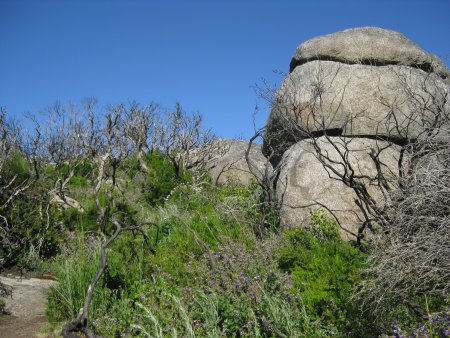 111-IMG_1188.JPG.medium.jpeg