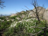113-IMG_1191.JPG.small.jpeg