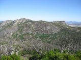 115-IMG_1193.JPG.small.jpeg