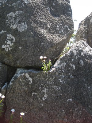 118-IMG_1205.JPG.medium.jpeg