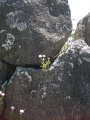 118-IMG_1205.JPG.small.jpeg