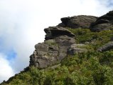 128-IMG_1229.JPG.small.jpeg