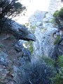 131-IMG_1233.JPG.small.jpeg