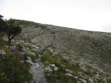 140-IMG_1266.JPG.small.jpeg