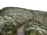 141-IMG_1267.JPG.small.jpeg