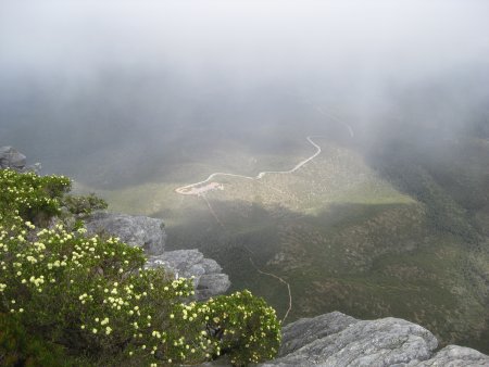 142-IMG_1269.JPG.medium.jpeg