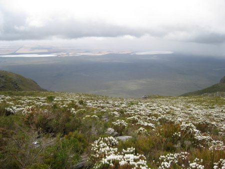 143-IMG_1273.JPG.medium.jpeg