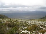 143-IMG_1273.JPG.small.jpeg