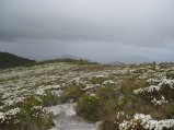145-IMG_1275.JPG.small.jpeg
