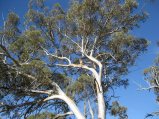 156-IMG_1346.JPG.small.jpeg