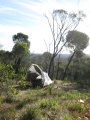 157-IMG_1349.JPG.small.jpeg