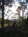 158-IMG_1350.JPG.small.jpeg