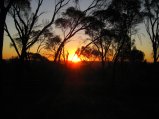 161-IMG_1355.JPG.small.jpeg