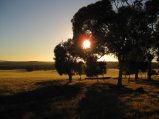 163-IMG_1365.JPG.small.jpeg
