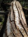 167-IMG_1390.JPG.small.jpeg