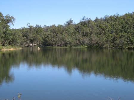 169-IMG_1395.JPG.medium.jpeg