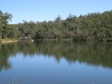 169-IMG_1395.JPG.small.jpeg