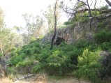 173-IMG_1449.JPG.small.jpeg